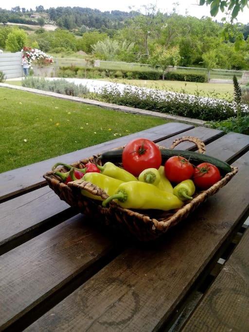 Luxury Villa Kassandrino Kaszandrinó Kültér fotó